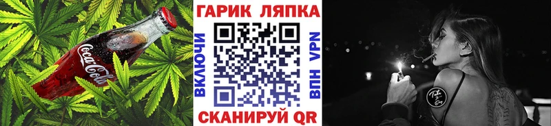 как найти   Новошахтинск  Canna-Cookies марихуана 