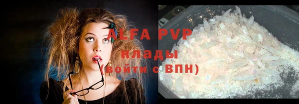 индика Надым