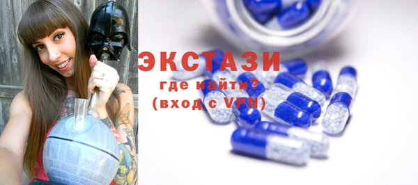 индика Надым