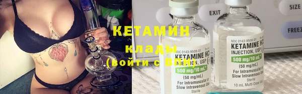 индика Надым