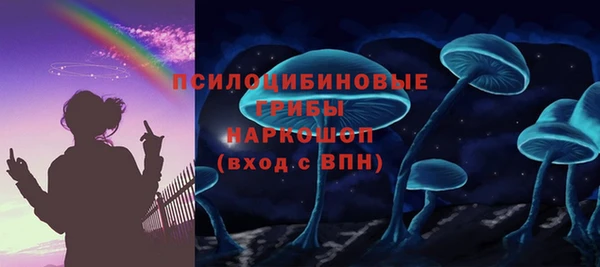 ГАЛЛЮЦИНОГЕННЫЕ ГРИБЫ Наволоки