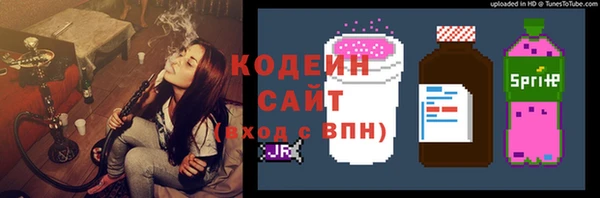 индика Надым