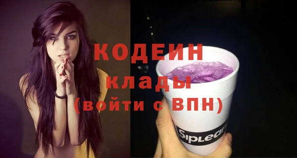 ешки Туринск