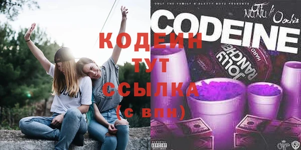 индика Надым