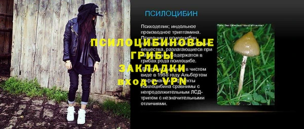 ГАЛЛЮЦИНОГЕННЫЕ ГРИБЫ Наволоки