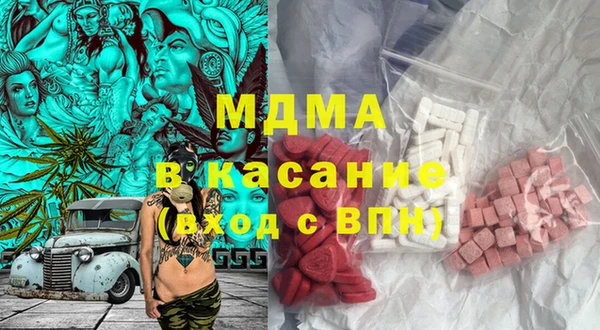 индика Надым
