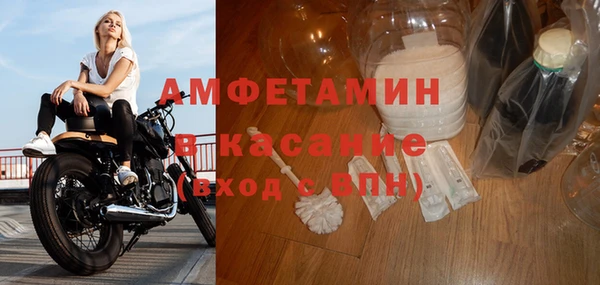 индика Надым
