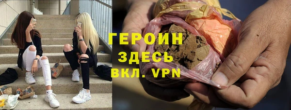 индика Надым