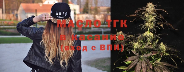 индика Надым
