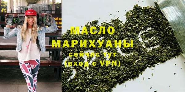 индика Надым
