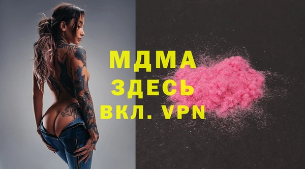 индика Надым