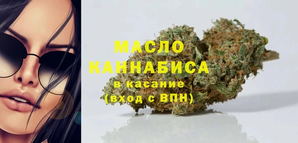 индика Надым