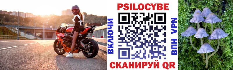 сколько стоит  Новошахтинск  Псилоцибиновые грибы Psilocybine cubensis 