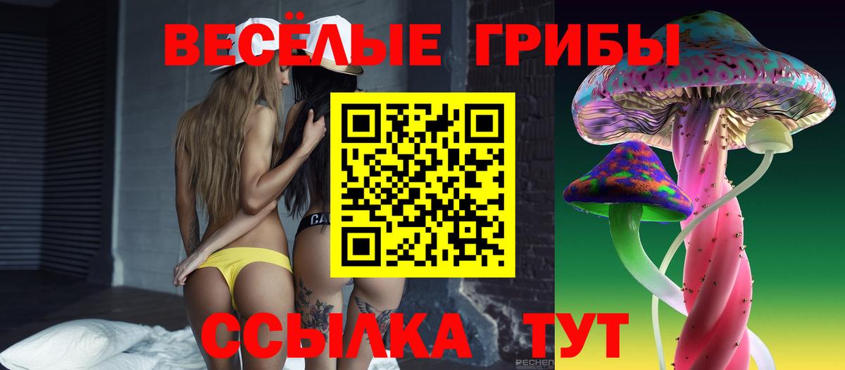 Галлюциногенные грибы мицелий Новошахтинск
