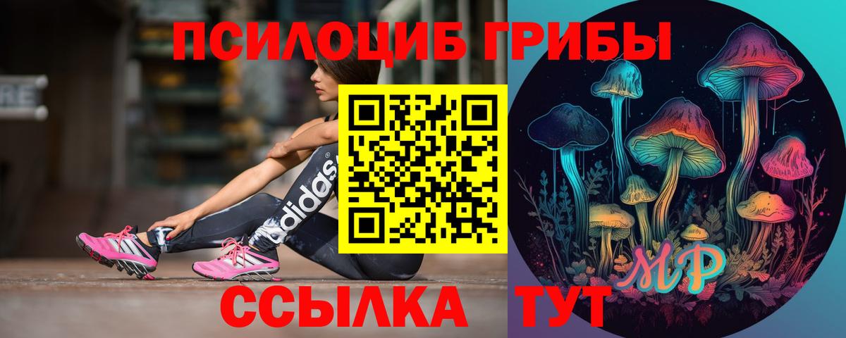Новошахтинск  Галлюциногенные грибы прущие грибы  Вход с VPN 
